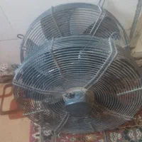 دو عدد فن بزرگ