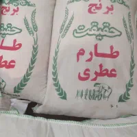 برنج هاشمی درجه یک|خوردنی و آشامیدنی|قم, صفائیه|دیوار