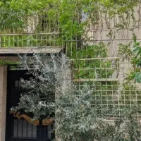 387متر-آپارتمان-شمال-بلوار-کشاورز