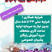 کار در منزل ویژه بانوان هدفمند