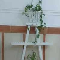 استند گلدان چوبی