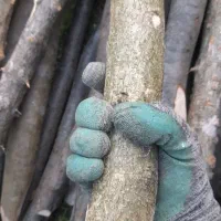 پایه چوبی فنس و سیم خاردار و چوب خزانه