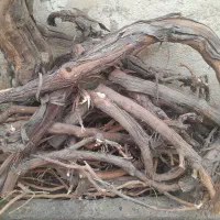 تیر چوبی وتخته شکسته و تنه درخت انگور