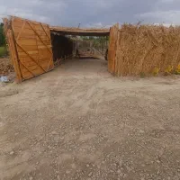 باغچه