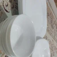 ۶ عدد پلو خوری ۶ عدد پیش دستی