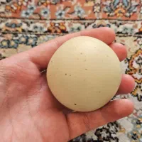 سنگ الماس اسیاب