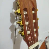 گیتار Pallado اصل اسپانیایی|گیتار، بیس، امپلیفایر|قزوین, |دیوار