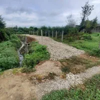 فروش زمین و ملک های به قیمت واقعی گوراب مبین بالو|فروش زمین و ملک کلنگی|گوراب زرمیخ, |دیوار