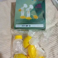 شیردوش لاولی