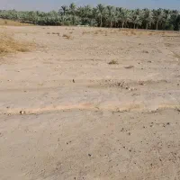 فروش زمین مسکونی در کره سیاه بهبهان|فروش زمین و ملک کلنگی|بهبهان, |دیوار