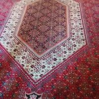فرش ۱۲متری افشار