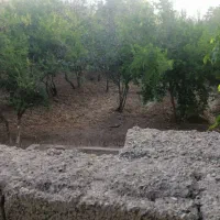 باغ درمنطقه  خوش اب هوا و تاریخی|فروش دفتر صنعتی، کشاورزی، تجاری|سیدان, |دیوار