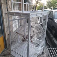 قفس پرنده