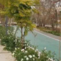 گروه دویدن خاص