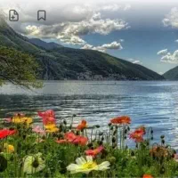 راهنمایی میخام