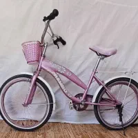 دوچرخه سایز 20دخترانه تمیز کم استفاده شده|دوچرخه، اسکیت، اسکوتر|الوند, |دیوار