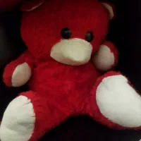 اسباب بازی|اسباببازی|مشهد, شهید قربانی|دیوار