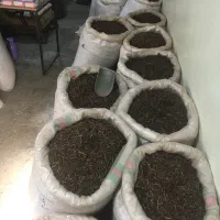 خشکبار حراج|حراج|کرج, ساسانی (قلمستان)|دیوار