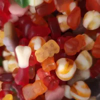 پاستیل حلال گاوی / قیمت عمده