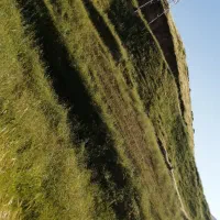 زمین روستایی حومه