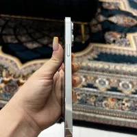 آیفون ۱۴ پرومکس|موبایل|فردیس, شهرک شهید حسینی|دیوار