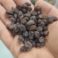 شیره وکشمش|خوردنی و آشامیدنی|دشتابی, |دیوار