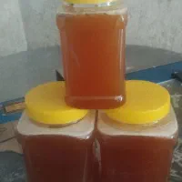 فروش عسل کنار درجه ۱