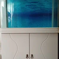 آکواریوم دلسا k800