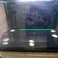 اکواریم هایلا  مدل f60|ماهی|بومهن, |دیوار