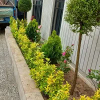 خدمات باغبانی و باغچه کاری فروش گل و درخت باغبان