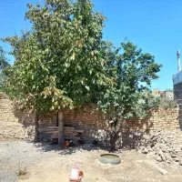 زمین ۹۶ متر