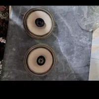 باند فابریک پارس