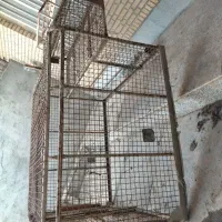 باربند پراید وانت