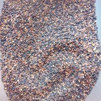 خاکشیر وکنجد