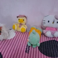 عروسک|اسباببازی بچه|رشت, معلولین|دیوار