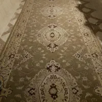 قالی|فرش|کردکوی, |دیوار