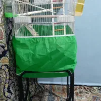 قفس کاسکو