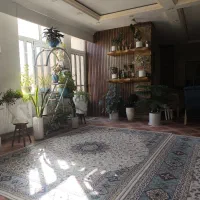 فروش تعدادی گل و گلدان طبیعی