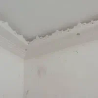 گچ کاری|خدمات پیشه و مهارت|هیرمند, |دیوار