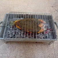 کوبیده،ماهی کبابی،گوشت،مرغ،مراسمات
