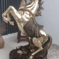 اسب کنارسالنی
