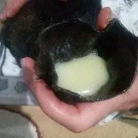 کشک و روغن محلی درج یک شول آباد|خوردنی و آشامیدنی|اصفهان, ملاصدرا|دیوار