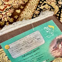 فروش فرش در حد آک|فرش|شاهرود, |دیوار