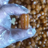 زولبیا بامیه گوش فیل هندی درجه ۱ زیر قیمت اتحادیه