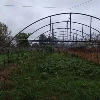 اجاره گلخانه