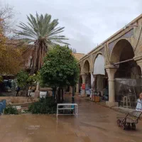 استخدام حسابدار