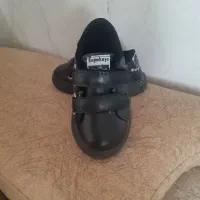 همشون نونونو