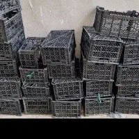 سبدمیوه 30هزارتومان