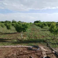 ابیاری قطره ای و بارانی