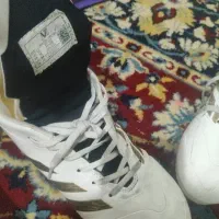 کفش چمن|کیف، کفش، کمربند|کازرون, |دیوار